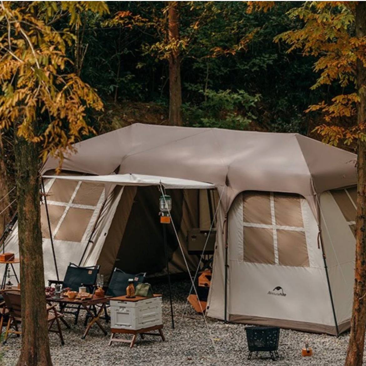 photo_2025-02-12_00-15-02